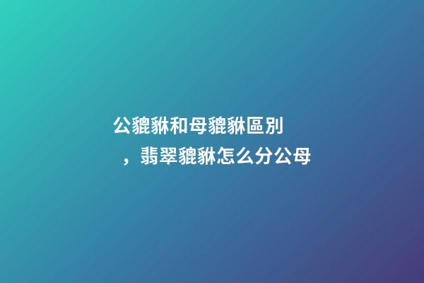 公貔貅和母貔貅區別，翡翠貔貅怎么分公母